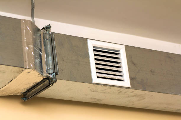 Best Best Air Duct Cleaning Company  in Indian Lake, TX